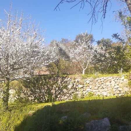 הוילה Quinta Dos Carvalhos The Wine House Farm In Center Of Lamego - Capital Of The Douro מראה חיצוני תמונה